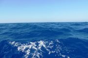 Rincorrendo l’onda di Maria Eleonora Zangara