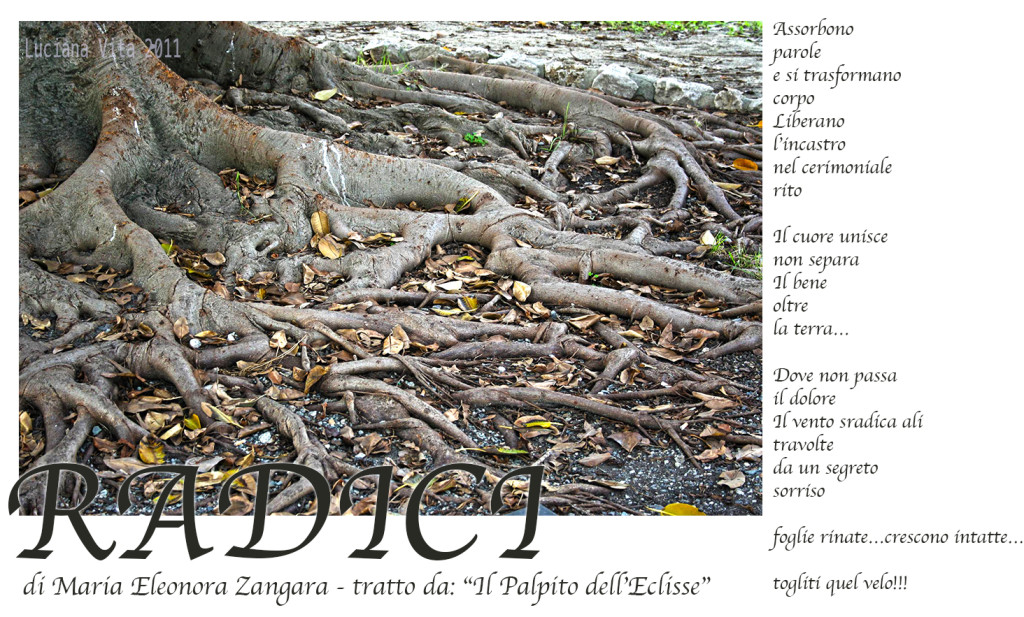 Radici – di Maria Eleonora Zangara – Tratto da “Il Palpito dell’Eclisse”