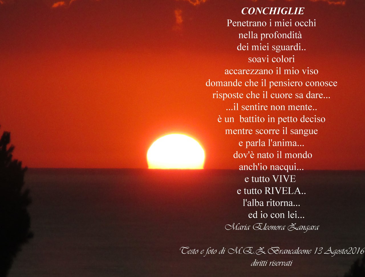 CONCHIGLIE-MARIA ELEONORA ZANGARA