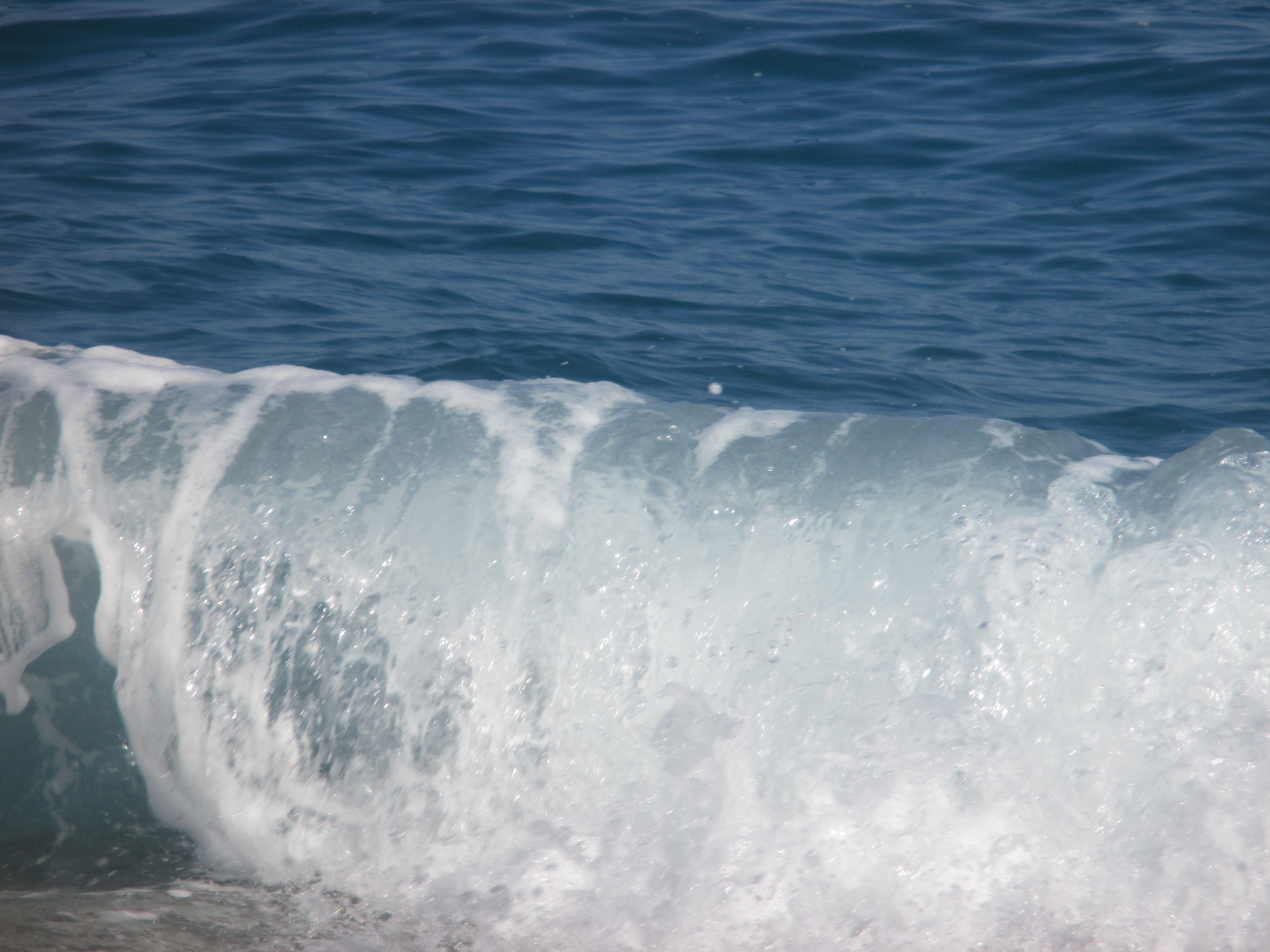 Al mare…
