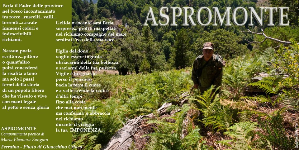 ASPROMONTE-Maria Eleonora Zangara