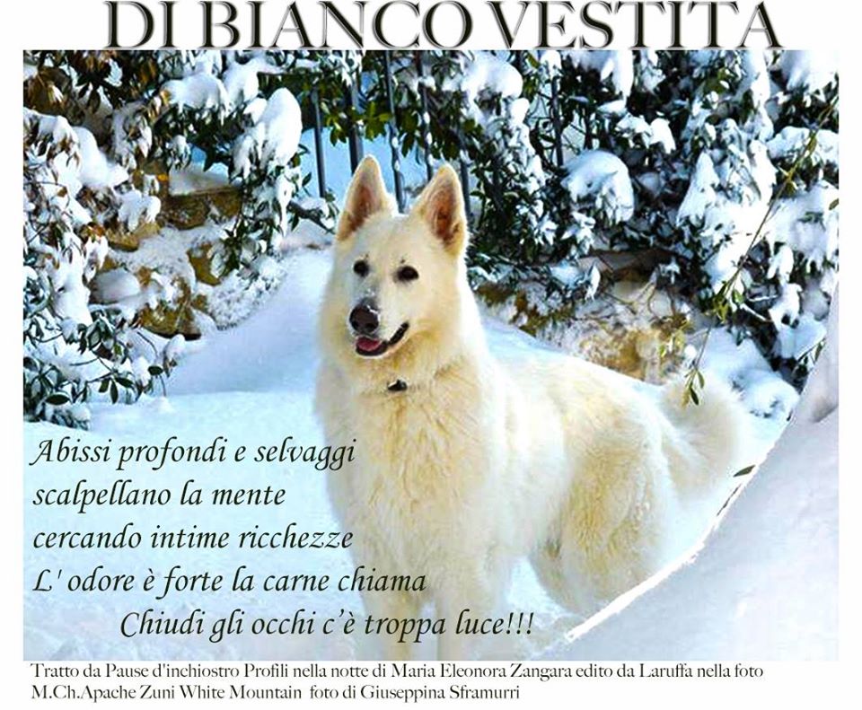 Di bianco vestita-Maria Eleonora Zangara