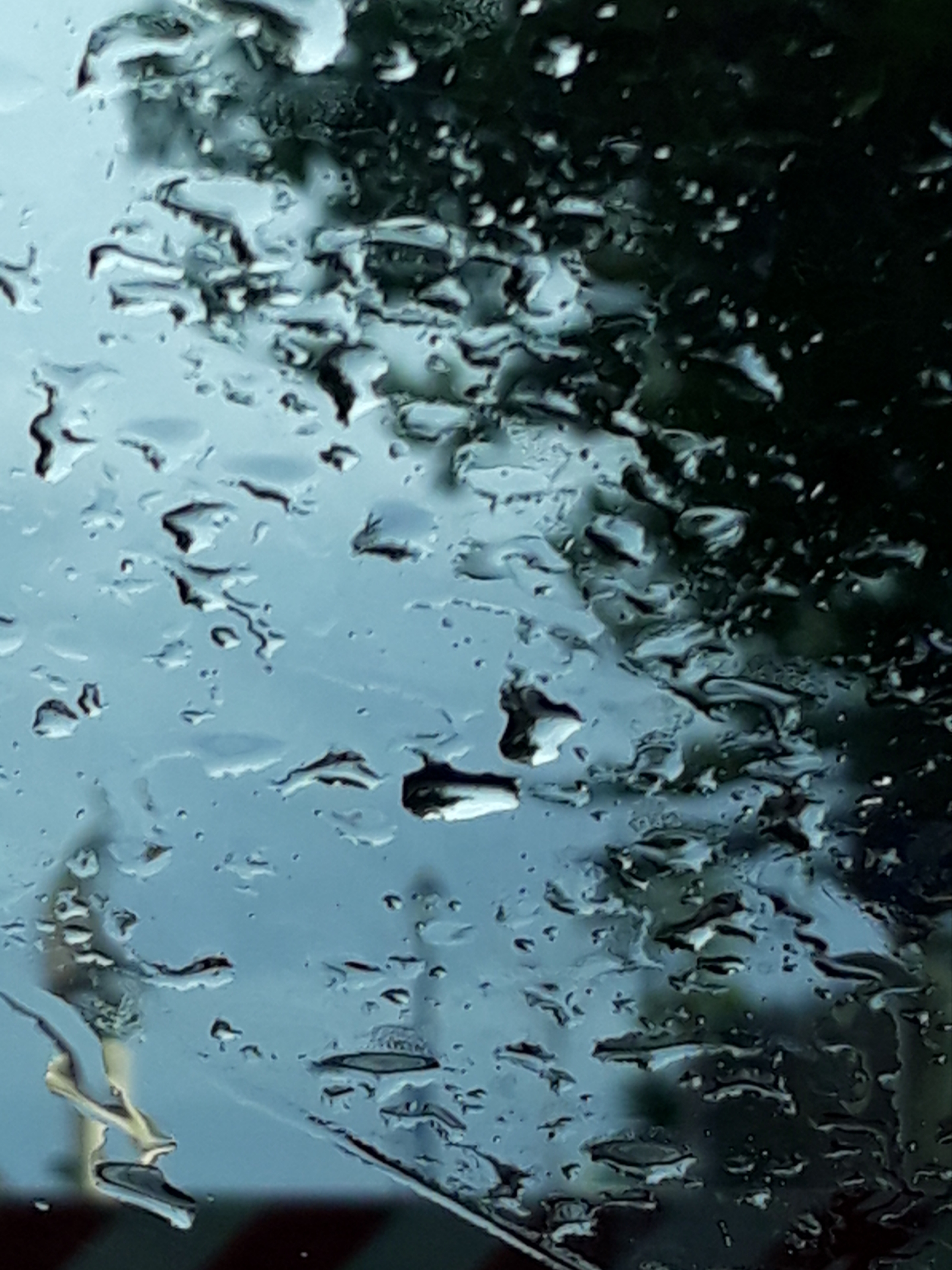 Piove ancora….Maria Eleonora Zangara