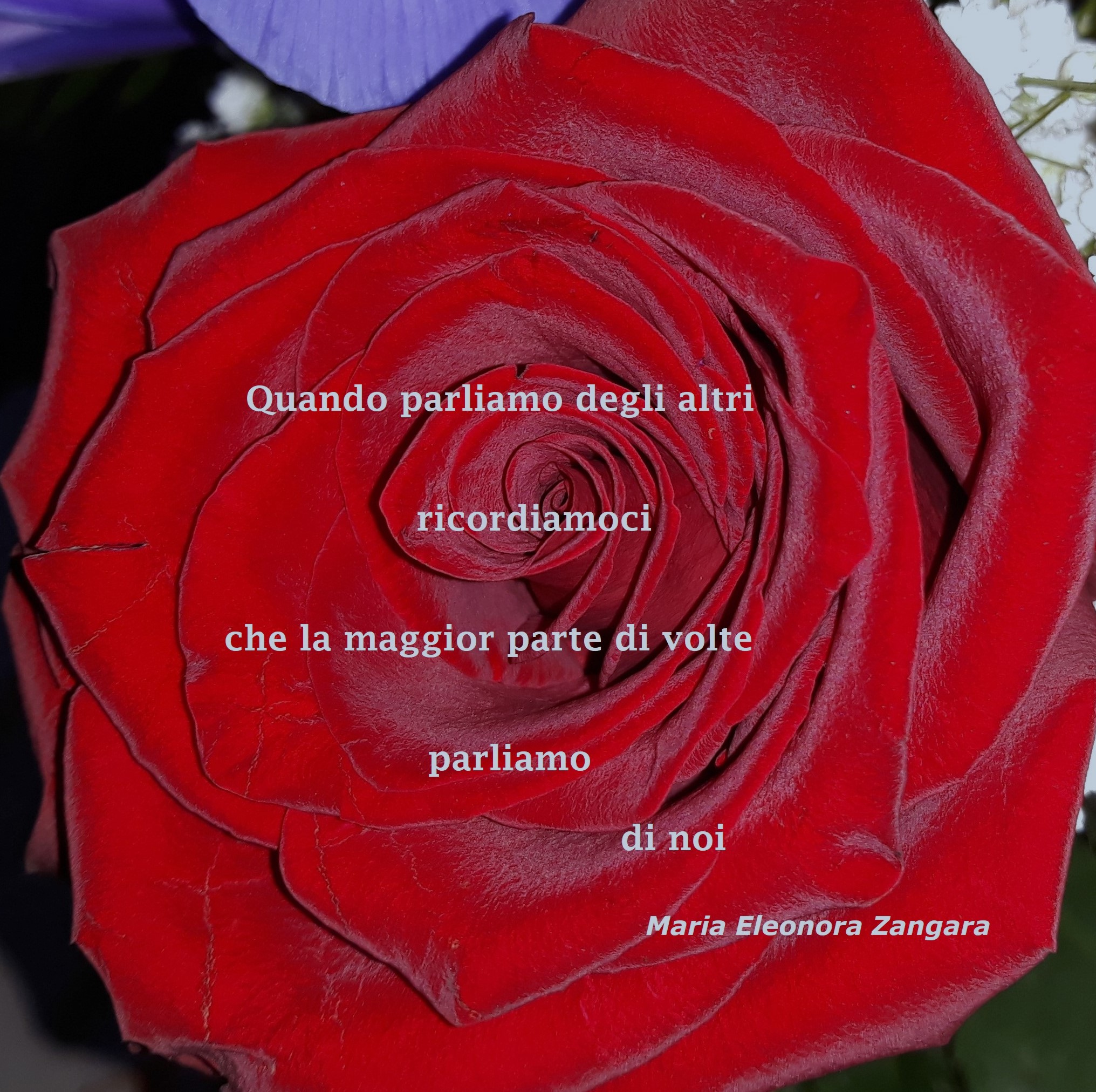 Punti di vista-Maria Eleonora Zangara