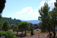 Territorio zona Mutulo