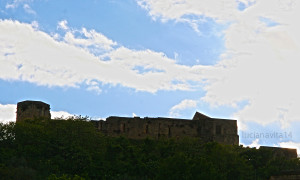 IMG_5445 copia