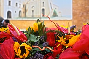 fiori Marrapodi