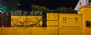 IMG_0567 copia