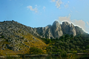 IMG_8276 copia