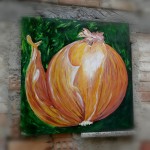 Cipolla - di Francisca Sanchez