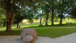 IMG_20260814_173409